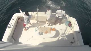 preview picture of video 'panama pesca 21-22 agosto'
