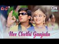 Nee Chethi Gaajulu Gallumannave Dil Nithin Neha R P Patnaik Usha RP Patnaik Telugu Songs