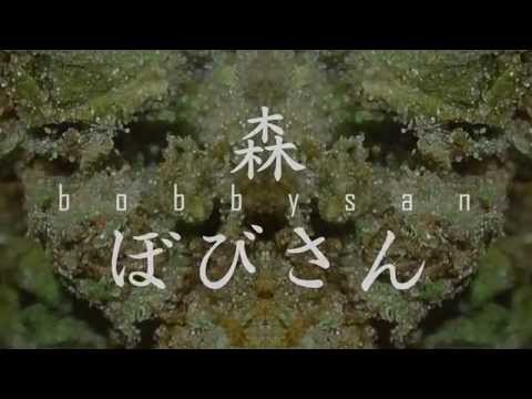 808B¥ $AN x ØRGANIC VISUAL