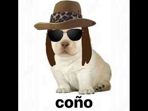 Speedrounder’s Video 170993087712 hTrnjSCPszM