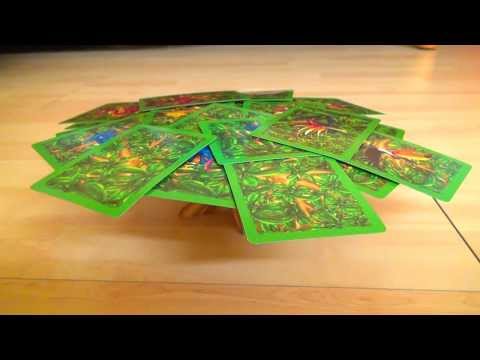 Regeln für Boabab - Spielanleitung