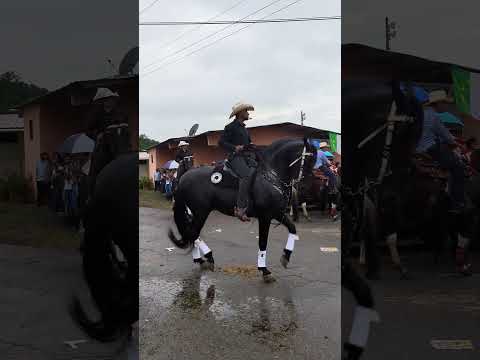 Festival del Sombrero Pintao, La Pintada #tradiciones #cultura#Penonomé#panama #panamapty