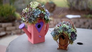 A Quick Glance–Succulent Covered Birdhouse