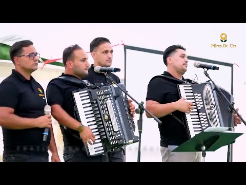 Frații Strugariu - Amăgire (Preluat din LiveStream)
