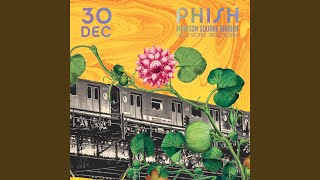 Back on the Train (Live)