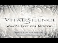 What's Left for Mystery - Vital Silence 