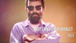Eels - A Friendly Ghost (Türkçe Çeviri)