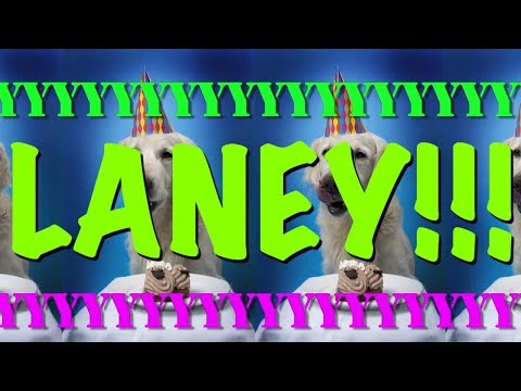 HAPPY BIRTHDAY LANEY! - EPIC Happy Birthday Song