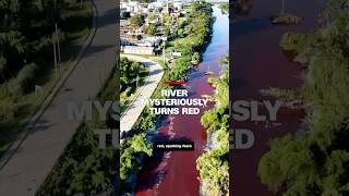 Download lagu River mysteriously turns bright red mp3