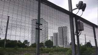 Dimethlytryptamine (DMT) - Skinny Girl Diet