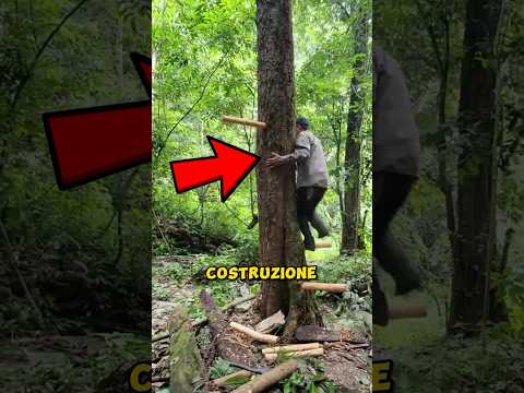 COSTRUISCE Una CASA SULL'ALBERO #shorts