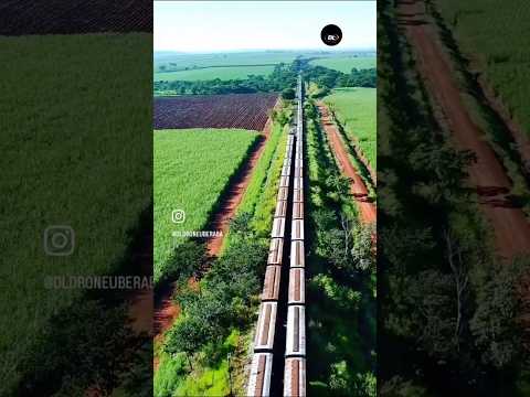 ARAMINA: O pátio ferroviário que divide São Paulo e Minas Gerais! 🗺️🛤️