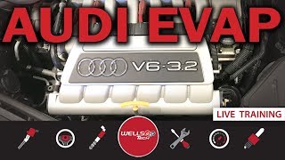 How To Diagnose And Fix An EVAP Leak On An Audi TT / VW  System - P0446, p0455, p0456