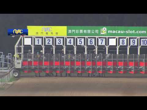 2023-06-23 Race 4(0266) - THE MOONEE VALLEY (Div 1)