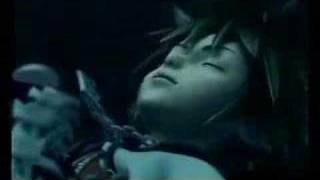 Slipping Away From The Kingdom of Hearts