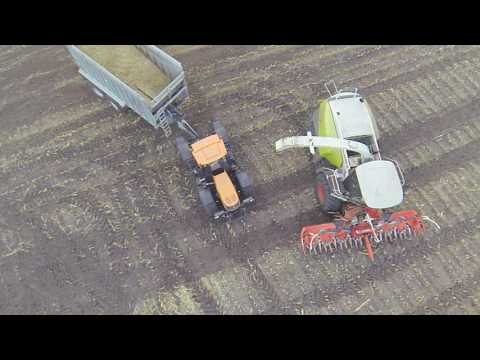 Maisernte Lohnunternehmen Werner Zöller