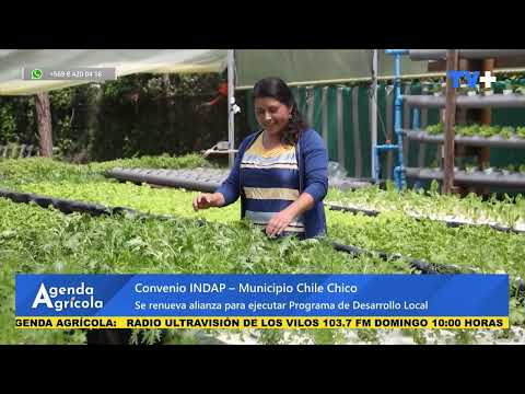 NOTA INDAP CONVENIO AYSEN