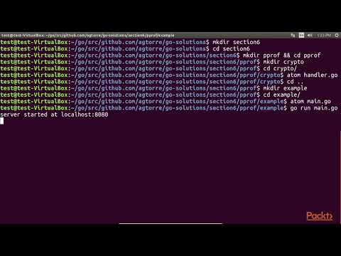 Adv Solutions in Go–Testing Distributed Systems Using the pprof Tool | packtpub com