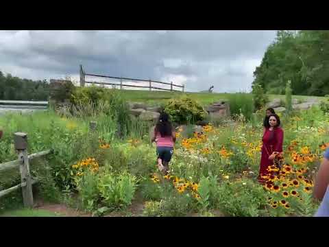 Jithin taking pictures video