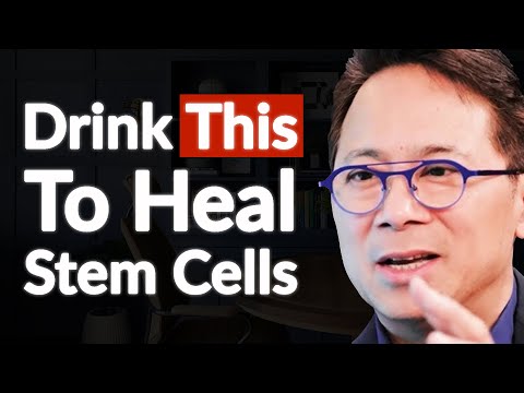 Amazing Foods & Drinks That Regenerate Stem Cells, Fight Disease & Repair The Body _ Dr. William Li