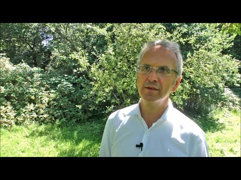 Liste Tabletten mit Typ-2-Diabetes Wen bei Diabetes