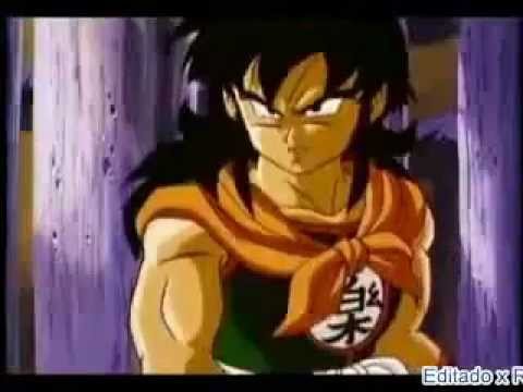 Lobo Solitario - Homenaje  Yamcha