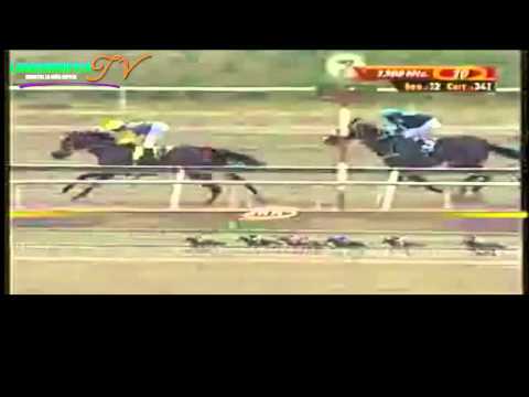 LA RINCONADA 10 CARRERA DOMINGO 27 DE ABRIL DEL 2014