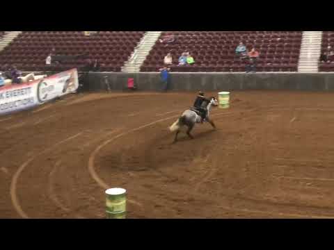 Seis shots of crown 4/6/19 MEC 3rd out of 402 IBRA/NBHA