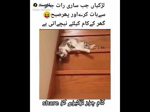 🤣🤣🤣🤣🤣🤣🤣🤣🤣🤣🤣🤣🤣🤣🤣🤣🤣🤣🤣🤣🤣😂😂😂😂😂😂😂😂😂😂😂😂😂😂😂😂😂