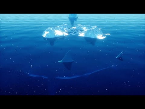 1000 CHASER - CAN'T TELL ME NUTTIN' ft. FIIXD, 1MILL, DIAMOND MQT, 19HUNNID & 1FLOW (VISUALIZER)