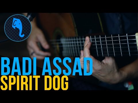 Spirit Dog - Badi Assad | ELEFANTE SESSIONS