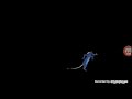 RATATOUILLE Walt Disney PICTURES PIXAR ENDING
