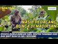 Wisata Bunga Bangun Sari, Sentra Tanaman Hias dan Bibit Buah di Deli Serdang