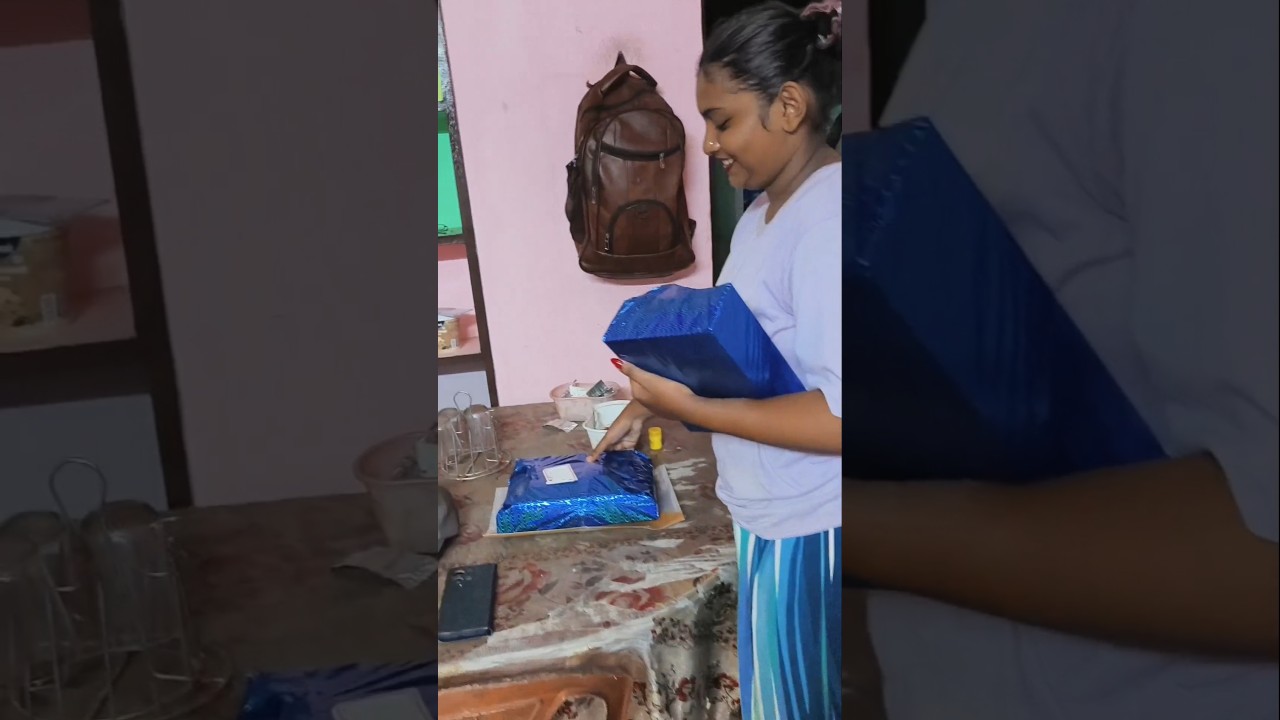 💥Surprise Visit🎁നെടുമുടി പാലവും, കുട്ടനാടൻ കാഴ്ചകളും പിന്നെ ഞങ്ങളും! #shorts#shortfeed