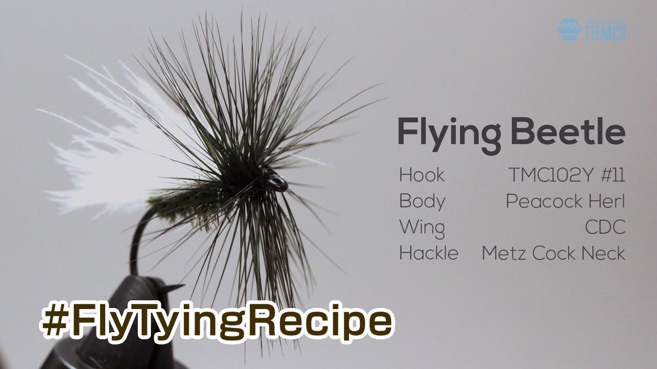Fly Tying Recipe Flying Beetle