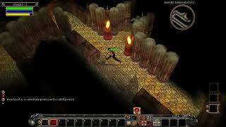 Din's Curse - Demon War | gameplay (PC videogame)