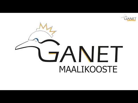 Maalikooste: Tiikerit - EräViikingit Akatemia 4.11.2018 (7-8)