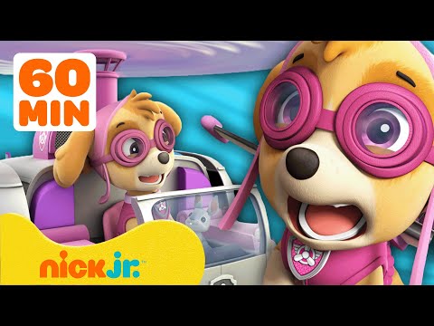 Psi Patrol | Skye leci pod niebiosa! Razem z Marshallem i Chasem ✈️ 60 minut | Nick Jr. Polska