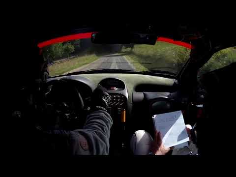 25^Rally Int. Del Taro Zanotti - Alaimo 206 A7 Ps8 Folta