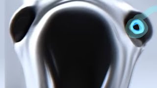 Cover art for EXPOSED NERVE WITH LYRICS: THE MUSICAL