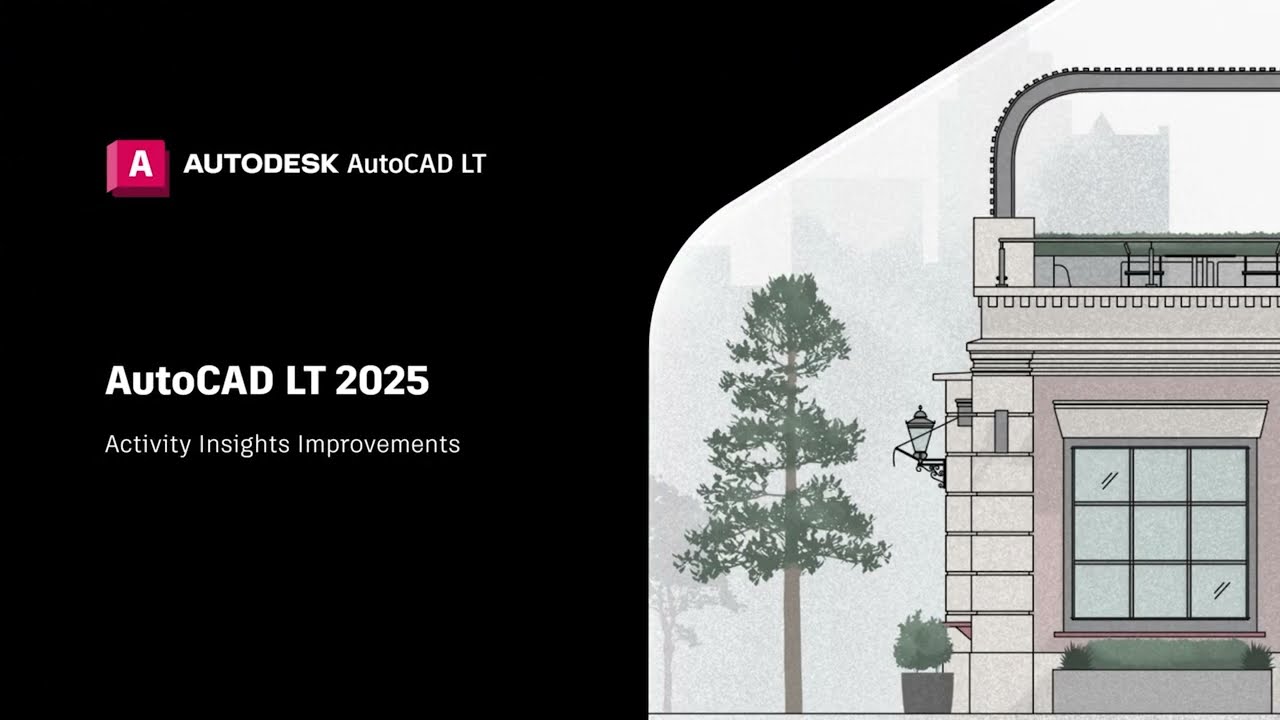 Activity Insights LT 2025