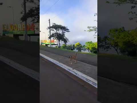 Eldorado Misiones Argentina 🇦🇷