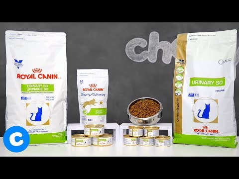 Kung paano mapupuksa ng tiyan exercise video Ay posible na mawalan ng timbang sa green tea