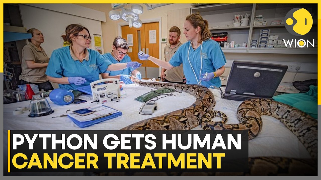 Jodie Foster The Python Makes History With Human Cancer Treatment | WION