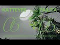 06:06 - Katteyes ft. Pailita Video Oficial