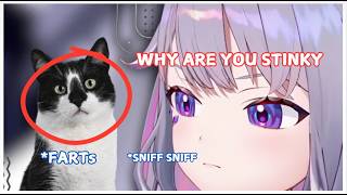 Biboo's cat dropped stinky bomb on her