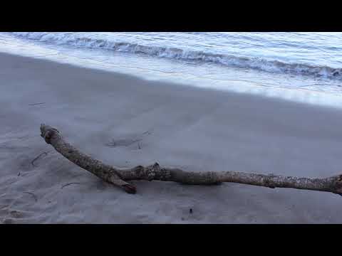 new york poem (for polly) spoken and created by florence welch . mp4