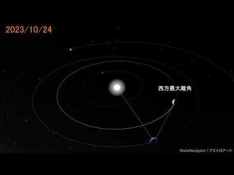 金星 最大離角 2023