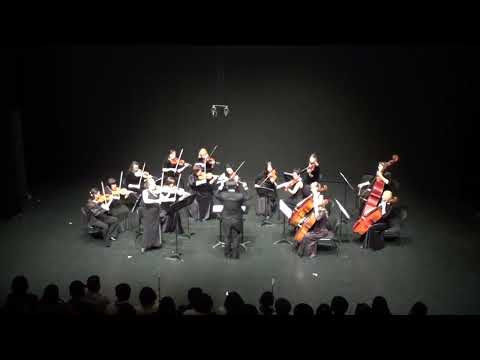 Myroslav Skoryk  Carpathian Rhapsody