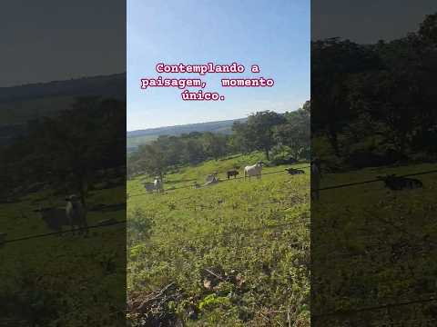 Estradão Cascalheira#zonarural #liberdade #pedalandoporaí.